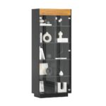 Witryna ze szklanymi drzwiami i półkami, stojąca